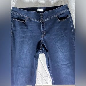 Lane Bryant High Rise Jegging Crop Top Skinny Leg Jeans size 26